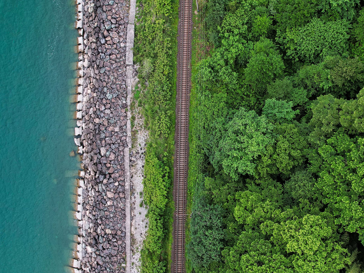 rail-trees-sustainability